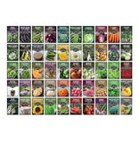 Homesteader Vault 50 Packs Non-GMO Heirloom Vegetable Fruit Herb WE SHIP OVERSEA Garden Plants