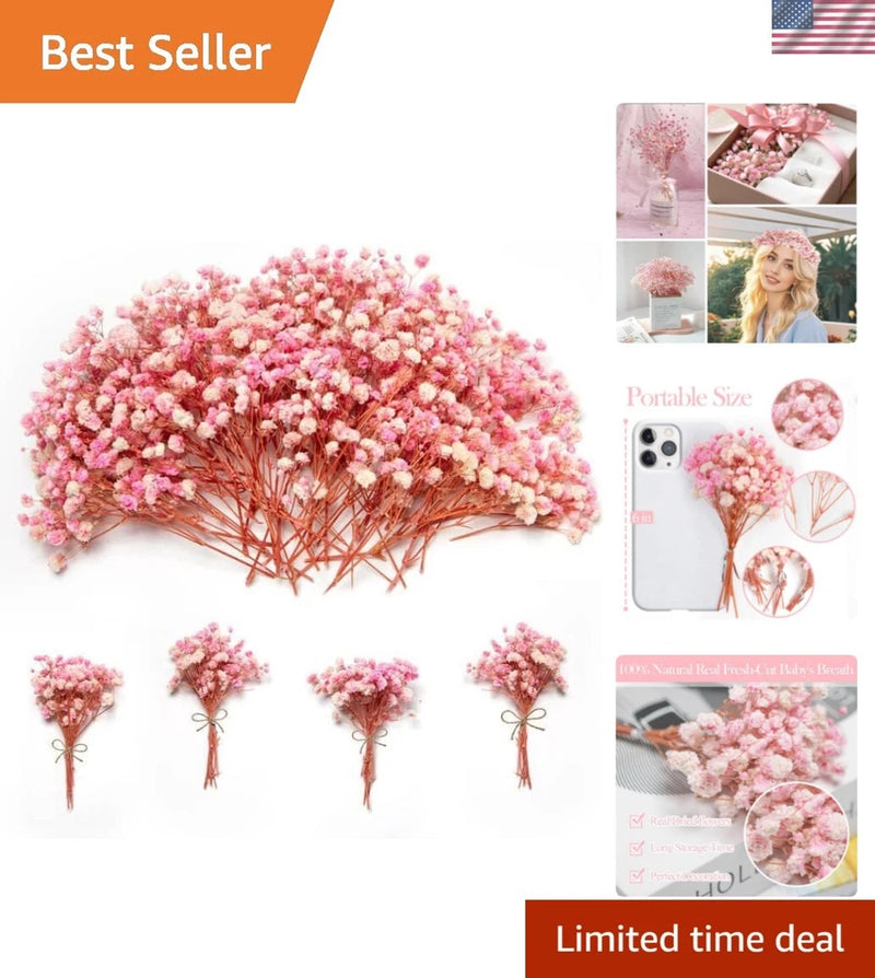 Pink dried baby's breath flower bundles, mini stems with small clustered blooms