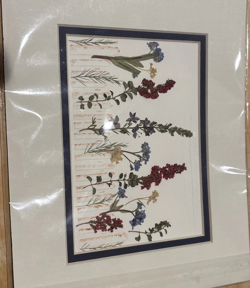 Framed pressed dried flowers art with mixed botanical leaves and blooms on light paper mat