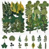 42 Pcs Real Dried Pressed Leaf Dried Flowers for Craft Resin Jewelry Making Dried Flower