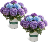Gradient Purple Hydrangea Artificial Flower Bouquets - 2 Pack with Pots Hydrangea