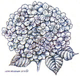 Hydrangea Blossom NORTHWOODS Wood Mounted Rubber Stamp NEW PP10896 Hydrangea