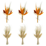 6 Pcs Mini Pampas Grass Dried Flower Bouquet Baby's Breath Boho Orange/Brown Pampas Grass