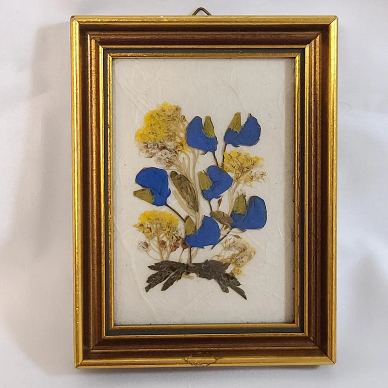 Framed pressed flower art print with blue and yellow blooms in a gold frame