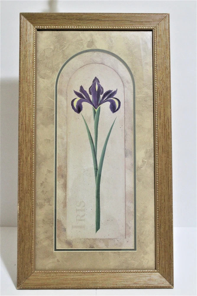 Made in USA Lily Tones IRIS Framed Lily Flower Picture Print Lily