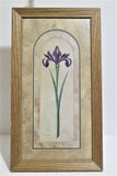 Made in USA Lily Tones IRIS Framed Lily Flower Picture Print Lily