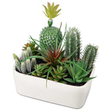Artificial Succulents Plants in Ceramic Planter, Assorted Green Fake Plants i... Green Plant