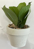 Home Decoration Mini Artificial Succulent Small Potted Plants - Set Of 8 Green Plant