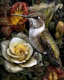 8x10 Hummingbird feeding among blooms - rose and lily flowers - 337506327 Lily