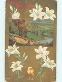 Unused Divided-Back CHICK WITH EASTER LILY FLOWERS : make an offer o6729 Lily