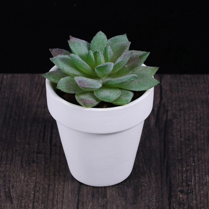 10 Pcs Plant Pot White Shallow Terracotta Pots Garden Flower Ceramics Plants Garden Plants
