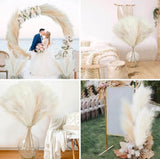 JUDILU Faux Pampas Grass Decor Fake Pompas Floral Large Artificial Pompous Grass Pampas Grass