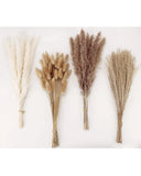 ANPROOR Dried Pampas Grass Decor, 100 PCS Pampas Grass Contains Bunny Tails Reed Pampas Grass