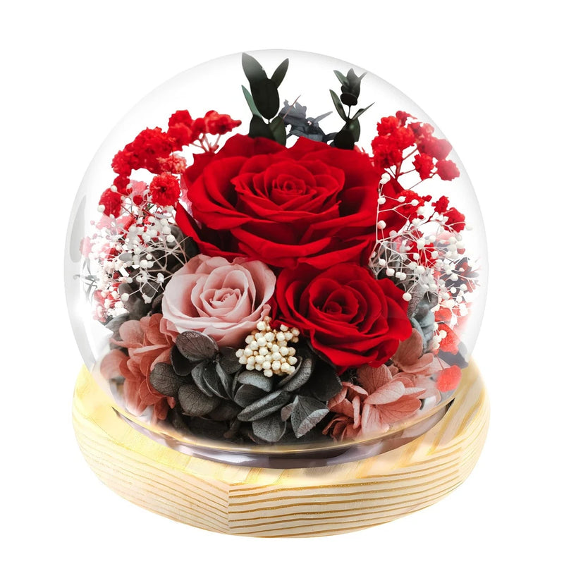 Gifts for Women Mom Birthday Preserved Flowers in Glass Dome Forever Fresh Fl... Hydrangea
