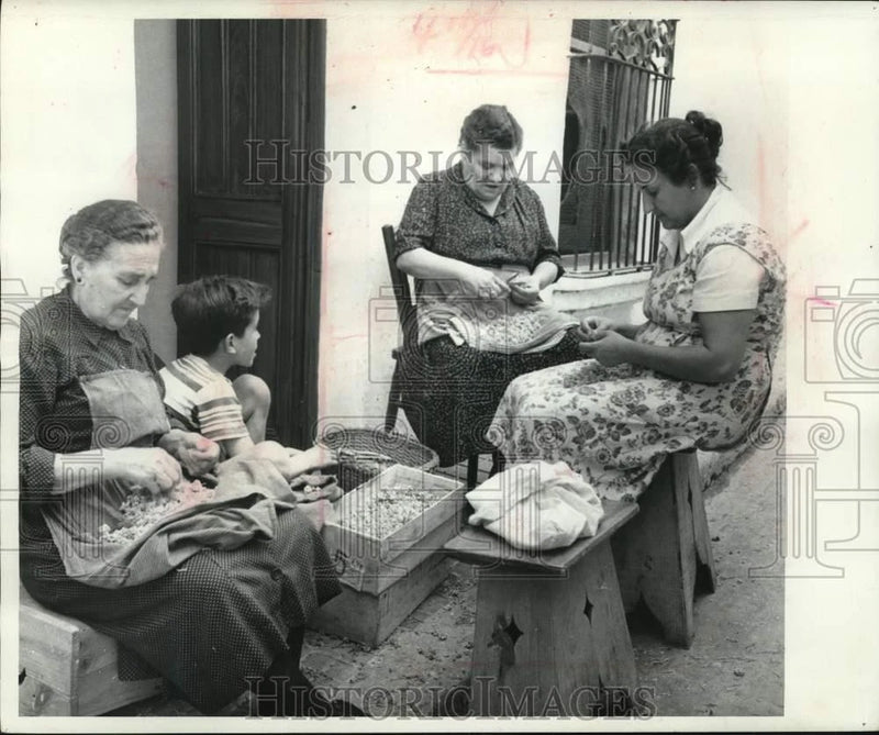 Vintage black-and-white press photo of people sorting flowers at a table