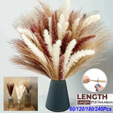 Natural Dried Flower Bouquet Reed Flores Pampas Grass Bunch Wedding Home Decor Dried Flower