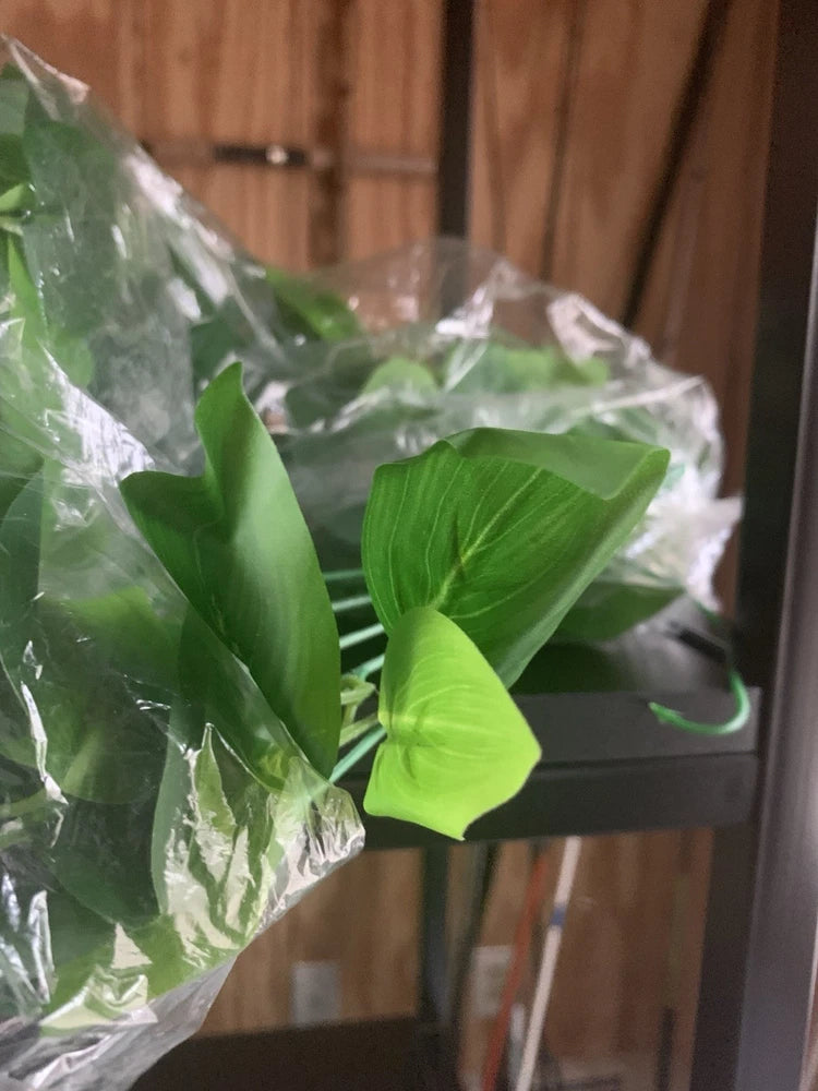 Decorative Green Ivy Home decor Green Plant