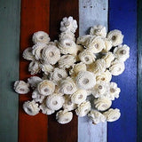50 Zinnia Balsa Sola Wood Flower Diffuser Flowers 3 cm Dia. For Decorate Craft Carnation