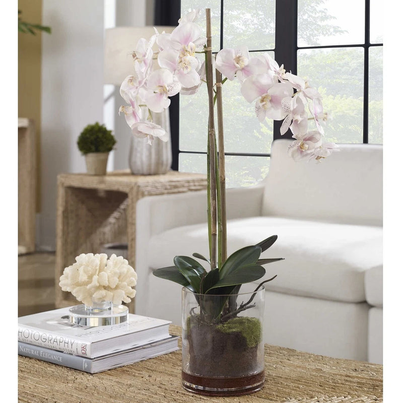 Pink and white orchid stems in a clear glass vase with dark base