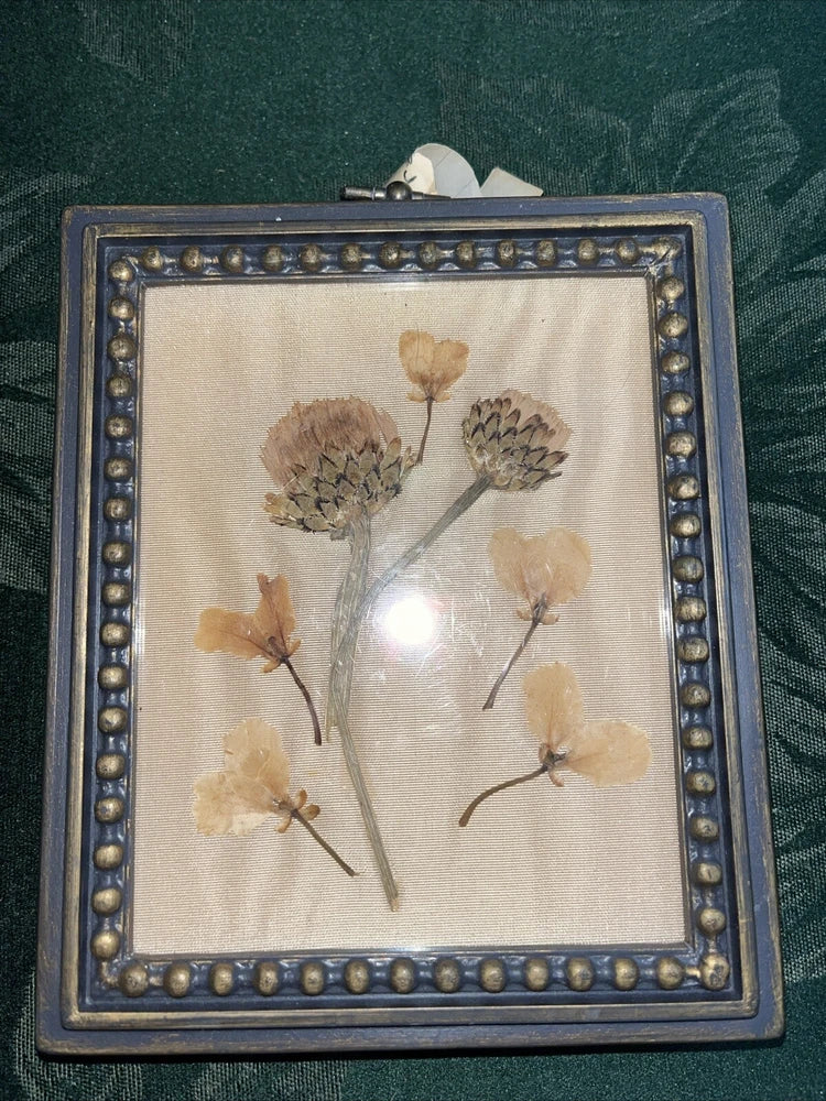 Mini dried pressed flower wall art in blue wooden frame with gold bead trim