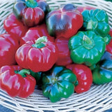 25 + seeds Tennessee Cheese sweet pepper garden planting  food extreme sweetness Garden Plants