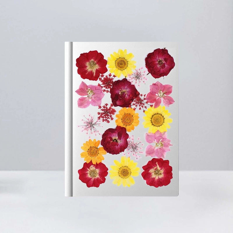 Colorful pressed flower arrangement in a clear display with white border