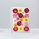 Dried Pressed Flowers Dry Flowers Colorful Natural Real Pressed Flowers Mixed Dried Flower