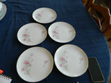 Royal Court Fine China "Carnation" (5) 9 1/4" Luncheon Plates               16-3 Carnation