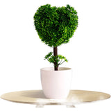 Camellia Silk Flower Arrangement in Decorative Pot for Living Space Styling Green Plant