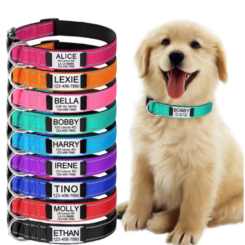 Reflective nylon dog collar with adjustable buckle and custom name ID tag