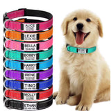 Personalized Reflective Nylon Dog Collar Custom Name Pet ID Tag Adjustable XS-L Roses