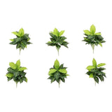 Nearly Natural 19" Artificial Dieffenbachia Plant - Set of 6 in Green Green Plant