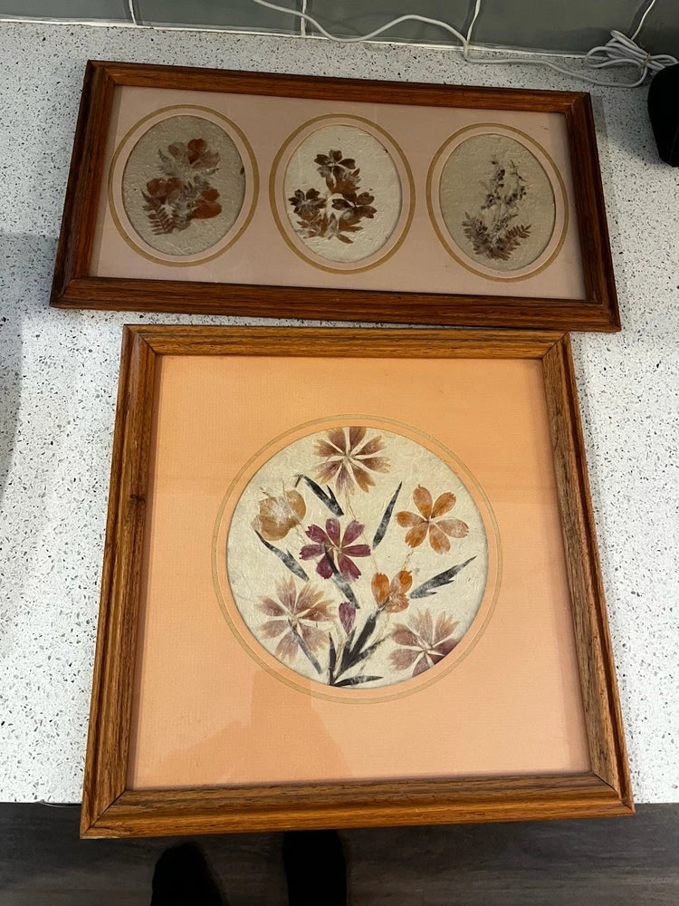 Framed dried pressed flower wall art pair with two circular floral prints in wood frames