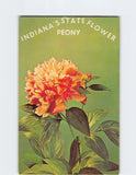 Postcard Peony Indianas State Flower Indiana USA Peony