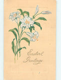 Divided-Back BEAUTIFUL VERY PALE BLUE EASTER LILY FLOWERS : make an offer o5907 Lily