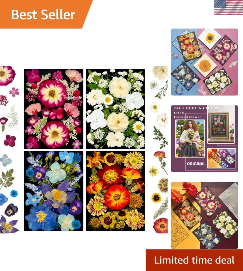Assorted pressed dried flowers for resin jewelry and nail art, mixed colorful petals