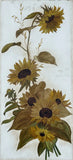 26" X 12" Antique White Glass Wall Plaque Sunflower Painting Art Flower Sunflower