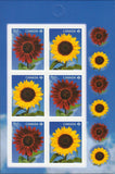SUNFLOWERS = BACK Booklet page of 6 stamps with seals Canada 2011 #2443-2444 MNH Sunflower