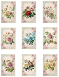 Beautiful Rose Florals Designer MULTI-SIZE SET Cotton Fabric Quilt Blocks Roses