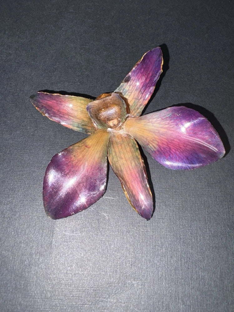 Large preserved orchid pendant with purple and pink iridescent petals