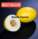 10+ Seeds Canary Melon Easy to Grow Vegetable Garden Planting Edible Garden Plants