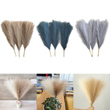 3 Pieces Dried Pampas Grass Phragmites Reed Flower Wedding for Vase Home Dried Flower