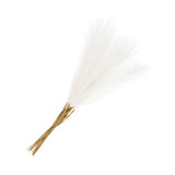 20Pcs Pampas Grass,21" Fake Pampas Grass for Wedding Decoration,White Pampas Grass