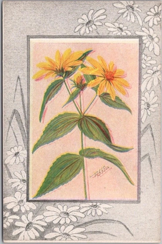 Vintage sunflower postcard with yellow flowers and green leaves in a cream border