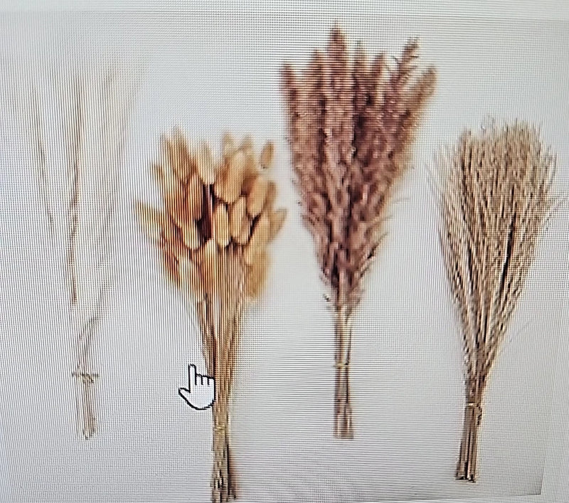 Natural Dried Pampas Grass Bouquet 50-80pcs Boho Home Decor Wedding DIY Vase new Pampas Grass