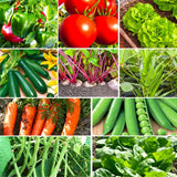 10 "Gardener's Favorites" Vegetable Seeds Mix Seeds - For 2026 Planting Non-GMO Garden Plants