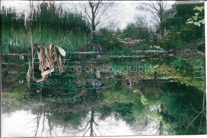 FOUND PHOTOGRAPH Color MONET GARDEN Giverny France WATER LILIES JD 010 3 C Lily