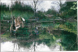 FOUND PHOTOGRAPH Color MONET GARDEN Giverny France WATER LILIES JD 010 3 C Lily