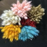 35-40CM 50PCS Dry Bunny Tail Grass Dried Natural Flower Rabbittail DIY Decor NEW Dried Flower