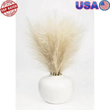 Artificial Pampas Plant in Ceramic Vase Decorative Centerpiece Home Event New Pampas Grass